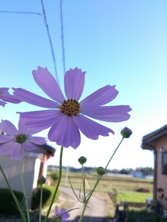 2013-10-10-07-53-20_photo.jpg