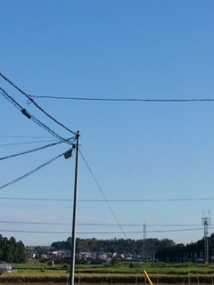 2013-10-10-07-58-06_deco.jpg